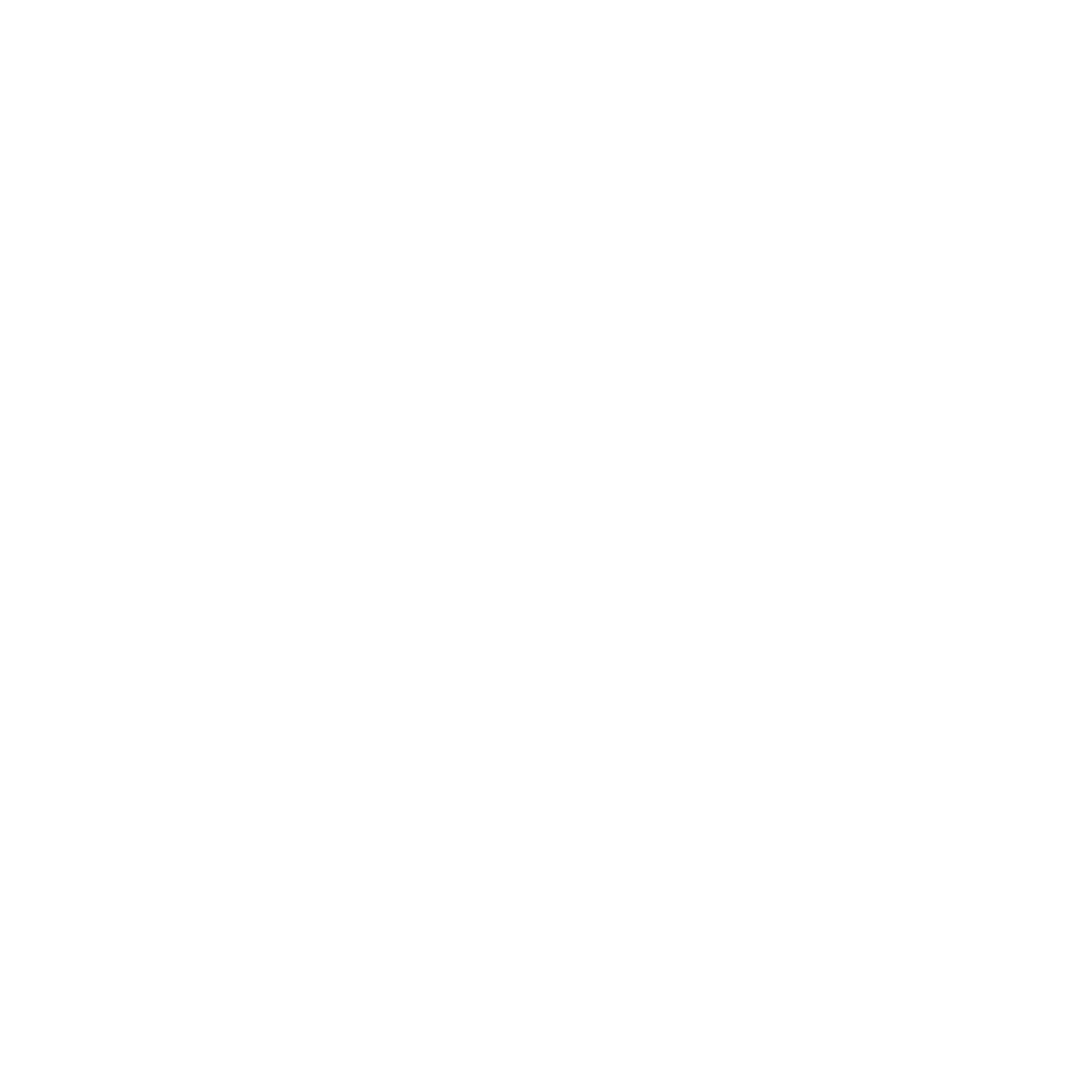 United Nations Logo