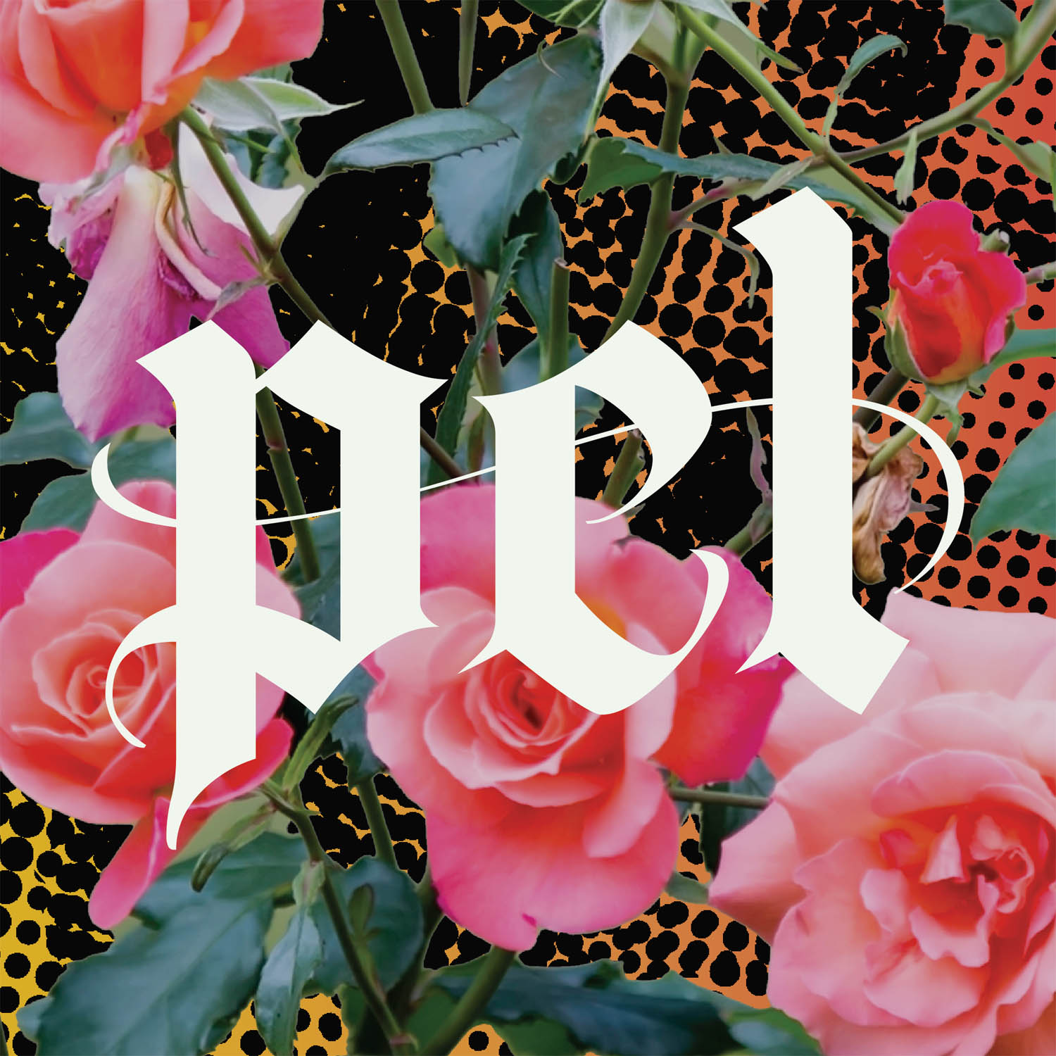 Cover art for Pel 2025 Favorites playlist